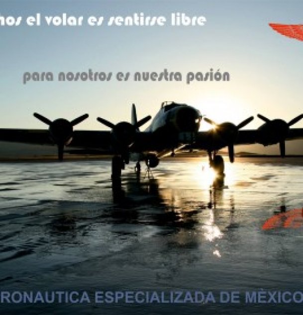 Aeronautica Especializada de México S.C. picture